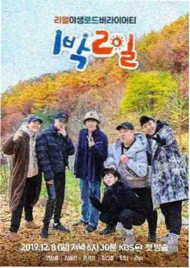 周六夜现场海报